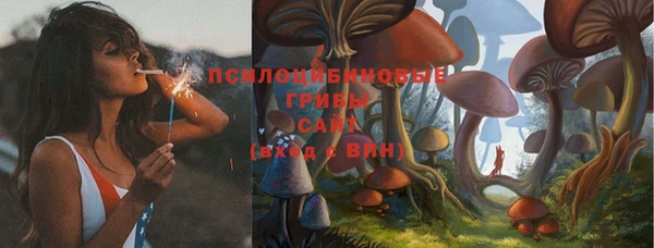 Альфа ПВП Баксан