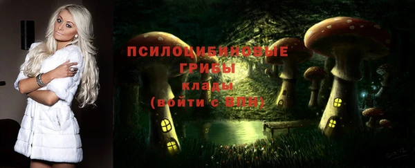 бошки Балахна
