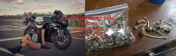 хмурый Балабаново