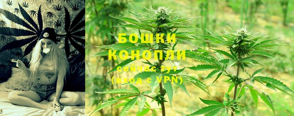 бошки Балахна