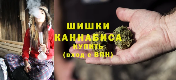 дмт Арсеньев