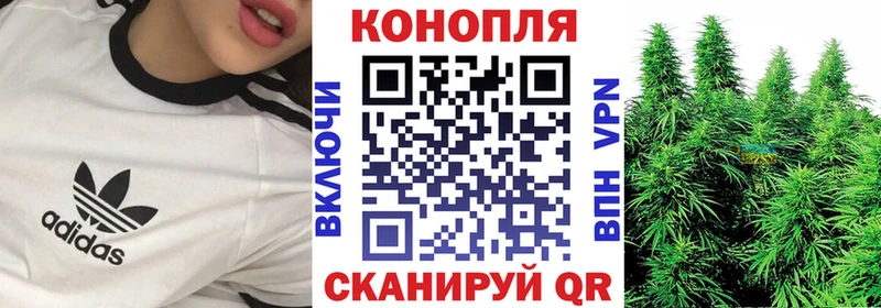 Бошки Шишки SATIVA & INDICA  как найти закладки  Облучье 